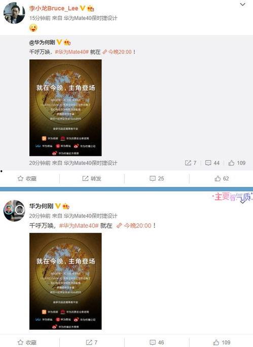 最新爆料集锦视频,集锦视频中的惊人内幕大曝光！